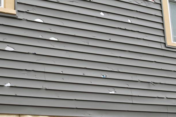 Affordable siding repair and maintenance services in Sausalito, CA