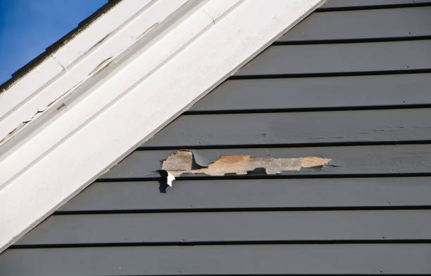 Best Aluminum Siding Installation  in Sausalito, CA