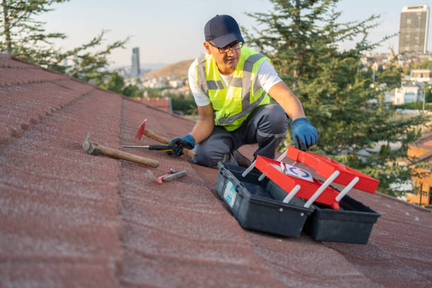 Best Engineered Wood Siding  in Sausalito, CA
